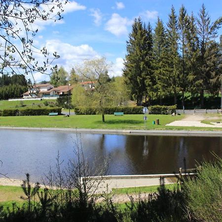 Gite Avec Cheminee, Terrasse Et Wifi - Animaux Acceptes - Fr-1-496-163 Usson-en-Forez Exteriér fotografie