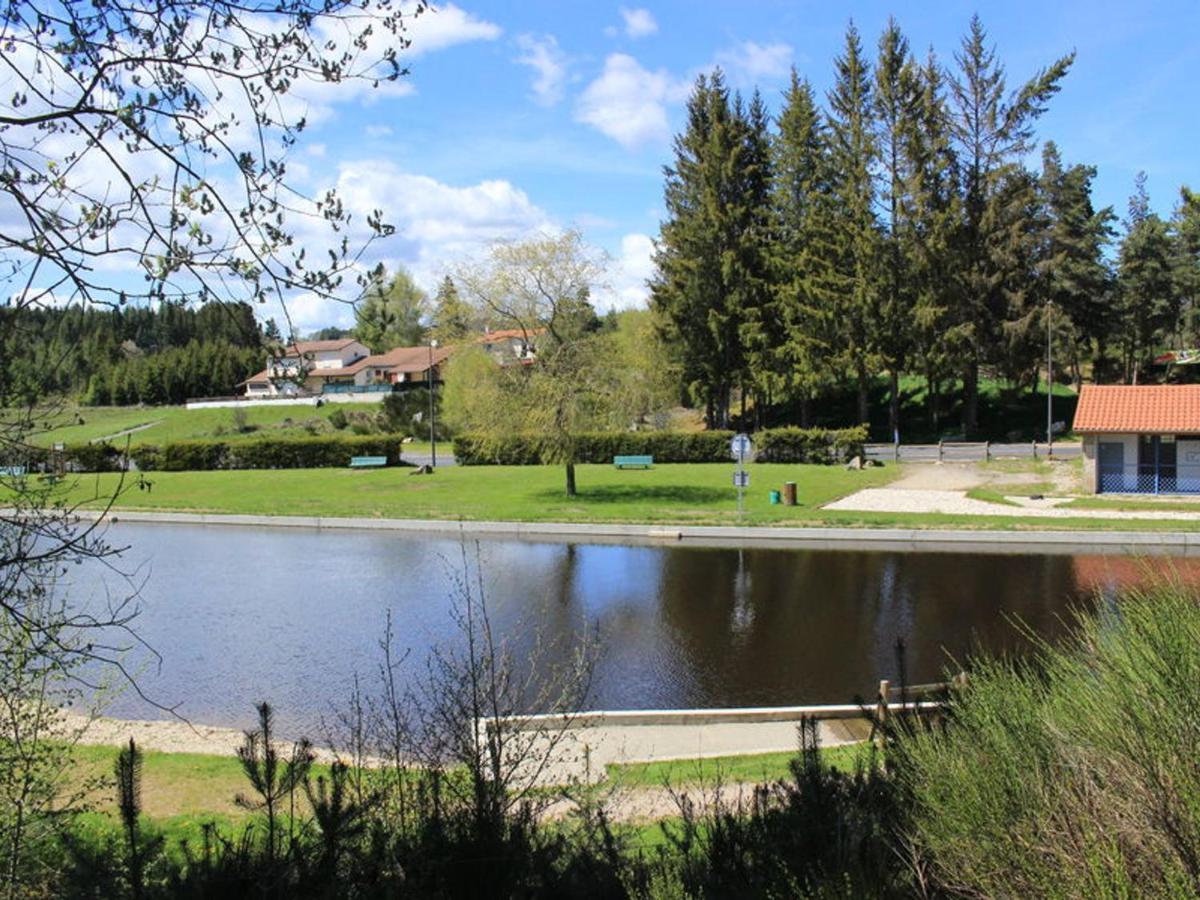 Gite Avec Cheminee, Terrasse Et Wifi - Animaux Acceptes - Fr-1-496-163 Usson-en-Forez Exteriér fotografie