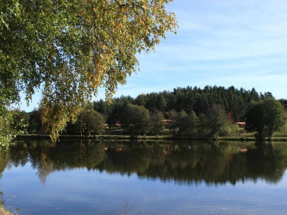 Gite Avec Cheminee, Terrasse Et Wifi - Animaux Acceptes - Fr-1-496-163 Usson-en-Forez Exteriér fotografie